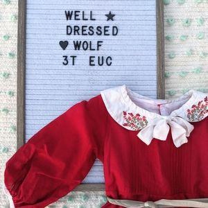 Well dressed Wolf red dress 3t removable collar